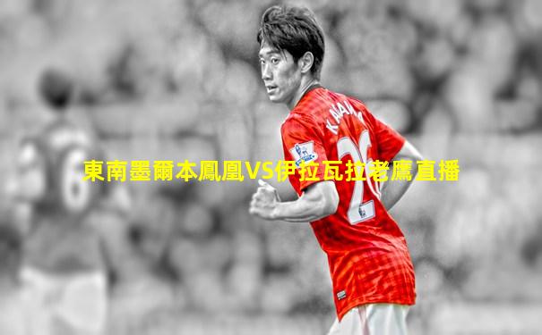 東南墨爾本鳳凰VS伊拉瓦拉老鷹直播